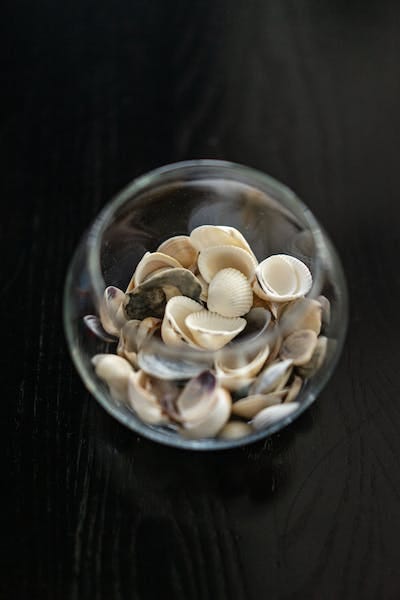 A clear glass fish-bowl filled with sea shells